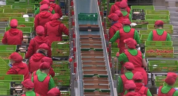 Bio low-cost, usine.